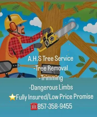🌲🌳#1 TREE SERVICE❗️❗️Lowest Prices PERIOD❗️❗️❗️