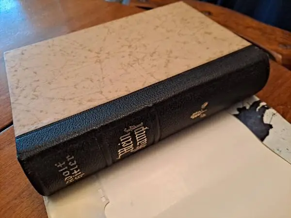 Mein Kampf - two