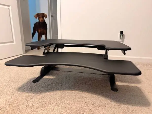 TWO Varidesk Standing Desks