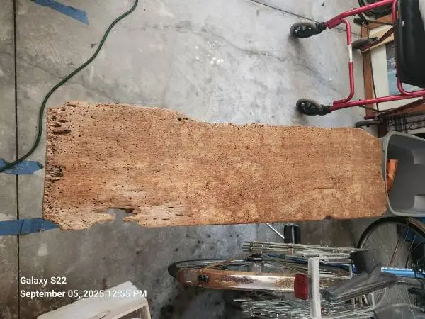 Driftwood Bench