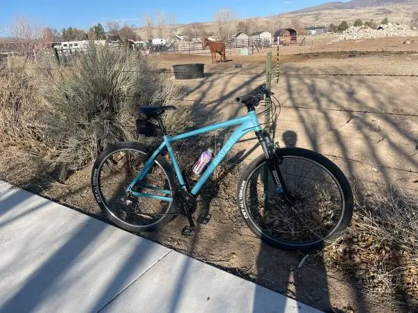 29 Batch Mountain Bike (L)