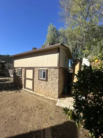 Painting Services