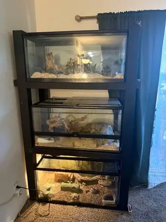 Rehoming reptiles