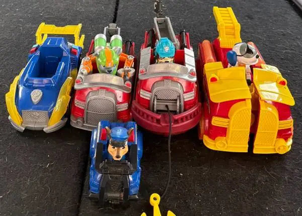 paw patrol lot