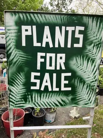 PERENNIAL PLANTS