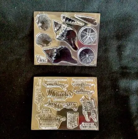 Stampin Up: So Many Shells