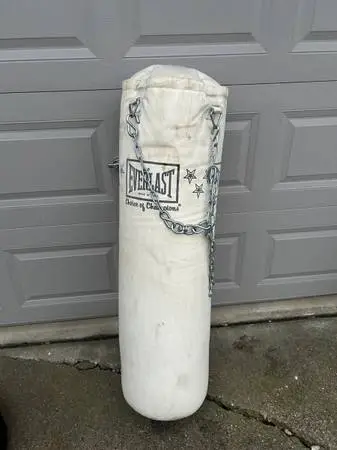 EVERLAST PUNCHING BAG $50