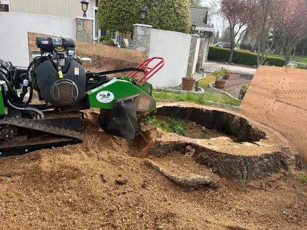 Stump and tree service