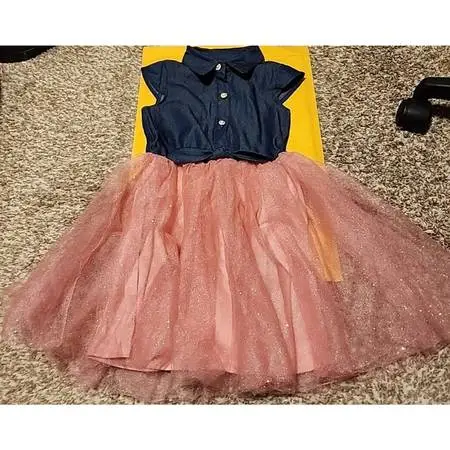 Girls Lily Bleu Sleeveless Dress Size 5 Blue Pink Fit & Flare Knee Len