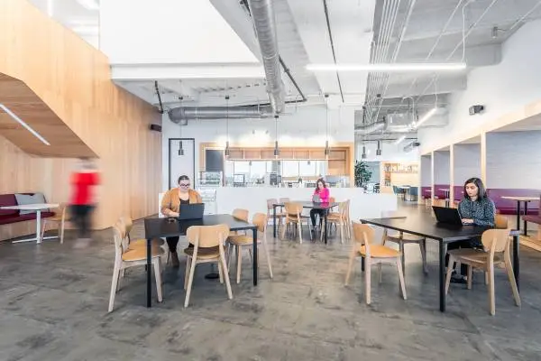Tailored Large Office Spaces to Fit Your Business Needs
