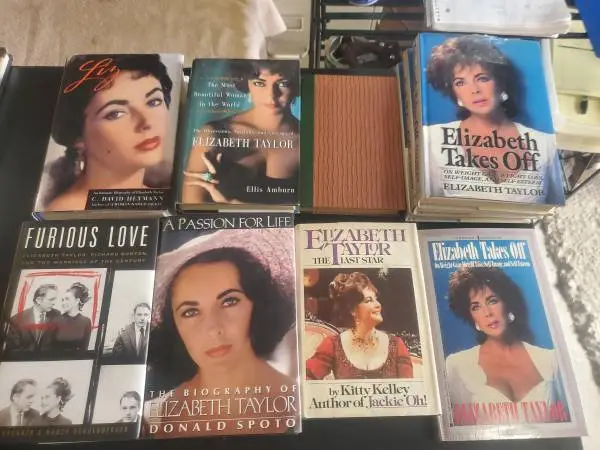 Elizabeth Taylor books