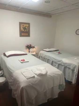 Professional Spa(Couple /Four hands massage)
