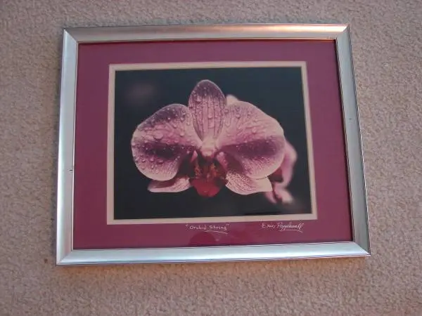 Beautiful Orchid String framed photo by Eric Popplewell.