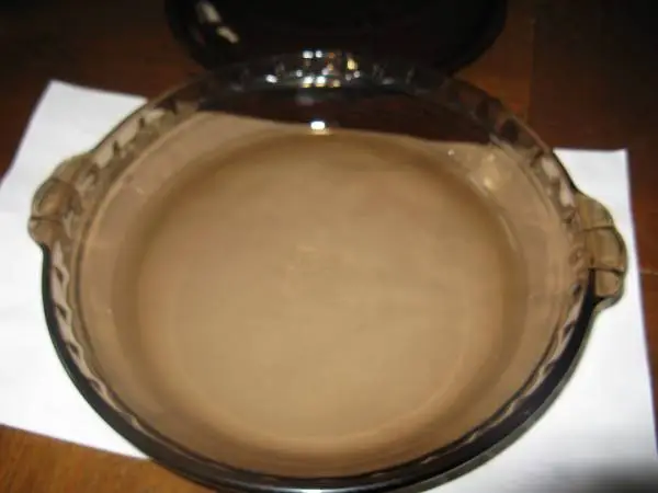 Pyrex 229 Brown Glass Pie Plate Baking Dish 9 3/4 w/Lid