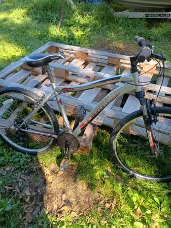 Schwinn mountain bike