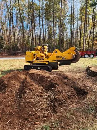 Stump Grinding Stump Excavation Stump Removal