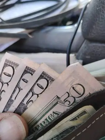Cash paid for standing timber