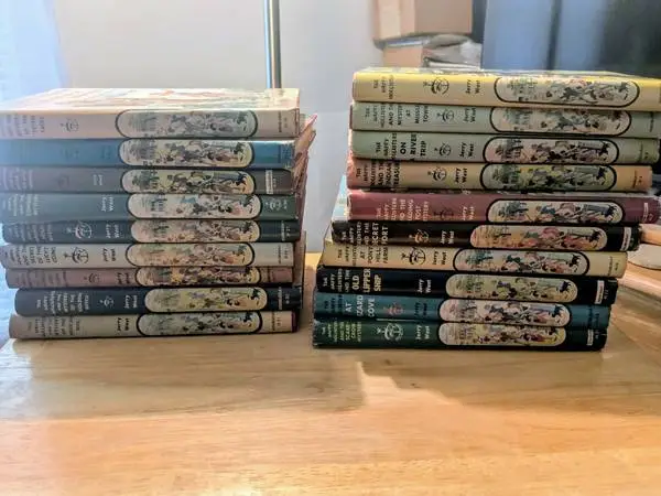 The Happy Hollisters Books