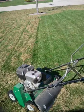 Power raking/Dead grass removal