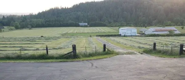 Custom Baling Needed
