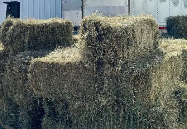Hay