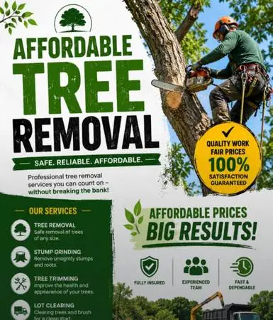 Affordable tree removal services 470-485-2052