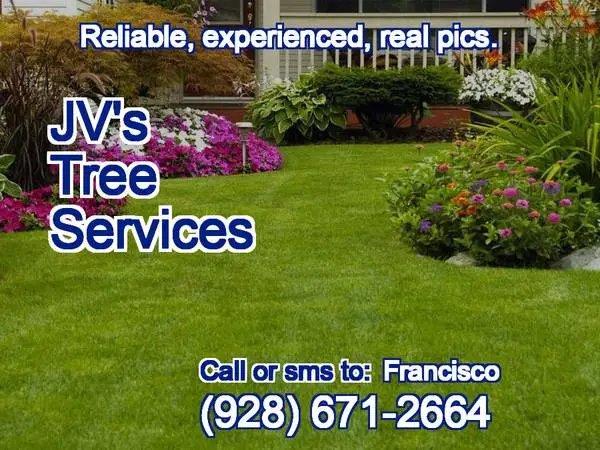 🔷 JVS PRO Tree Specialist. Removal, Trimming, more. Dependable.🔷