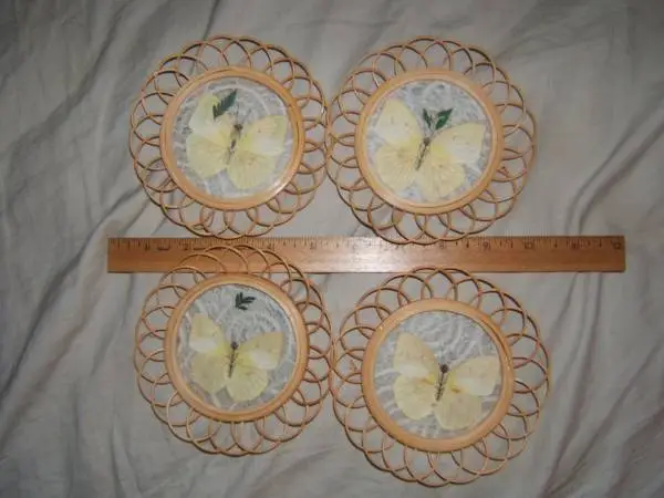 Vintage Preserved Butterfly Glass & Rattan Coasters. Perfect 1970s