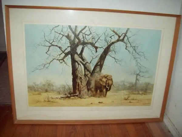 David Shepherd Signed Print-Vintage-Framed-Large-Exquisite!