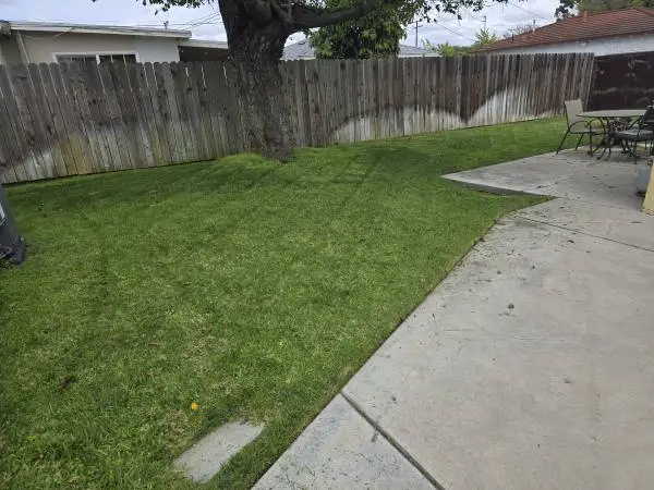 JORGES LAWN & Gardening maintenance. Sprinklers repair Artificial gra