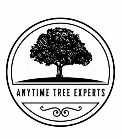 🌲 ANYTIME TREE EXPERTS – Tree Removal, Trimming, Pruning & 24/7 Emergency S