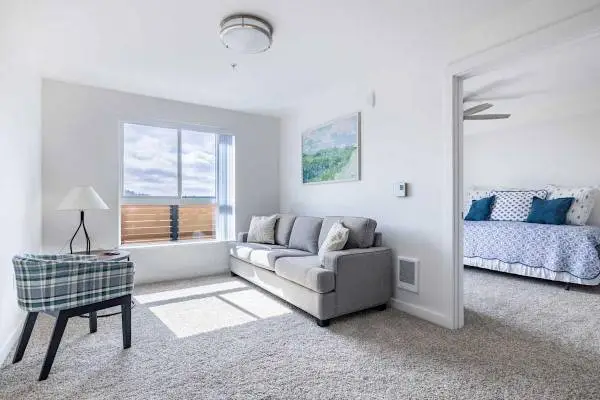 Pickleball Court, Fully Equipped Kitchen, Dog Wash
