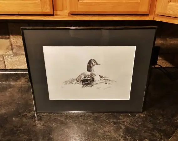 Jim Robbie Limited Edition Framed Art