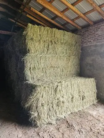 3x3 square bales hay