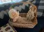 Adorable Baby Doll in a Wicker Basket