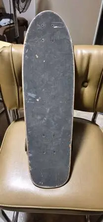 Cruiser Skateboard