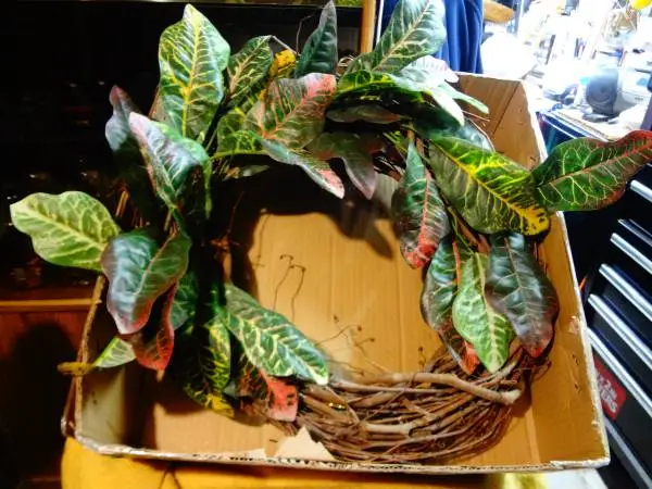 Wreath