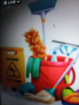 Squeaky clean home cleaning services