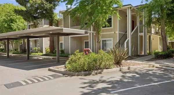 TMLP 13-mo. | Wood-Style Plank Flooring, Barbecue Area