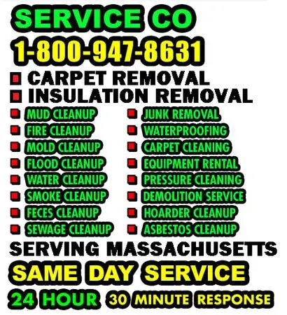 JUNK REMOVAL SERVICES___TRASH REMOVERS__HOARDING SERVICE__HOARDER HELP