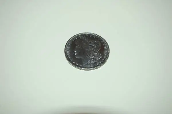 Morgan Silver Dollars Wanted By Collector