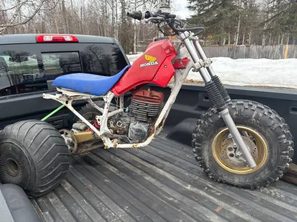 1984 ATC250R project