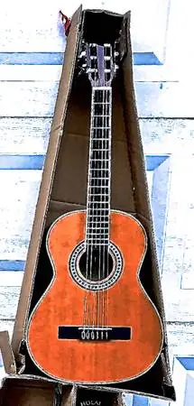 ACOUSTIC GUITAR NEW IN BOX