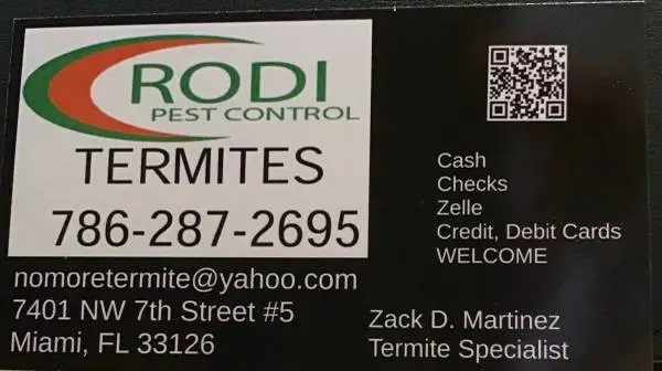 Termites Termite Termitas Termita Comejen Pest Control