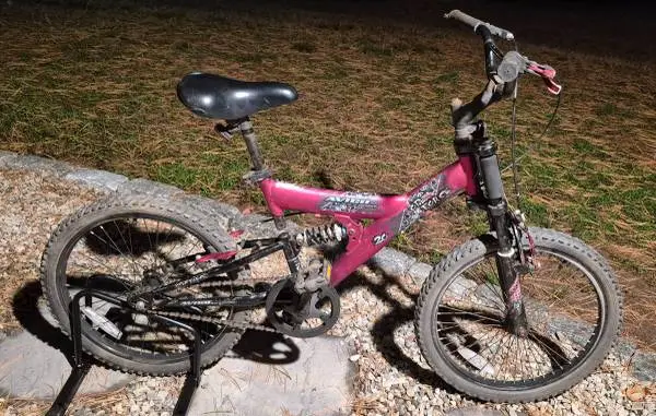 Avigo Open Force Full Suspension 20 Bicycle