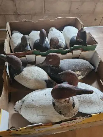 Estate Sale