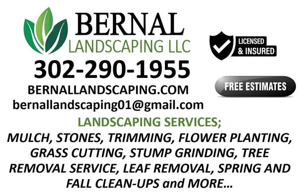 Junk Removal Services