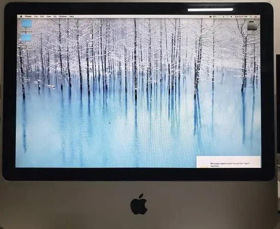 Apple iMac 20 mid-2007. 4 GB RAM and 250 GB HD - used