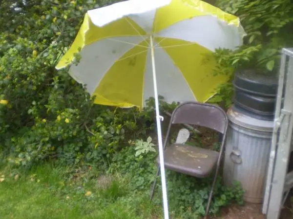 Yellow and White 7 ft Diameter Deluxe Patio & Beach Umbrella & Bag new