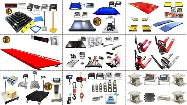 Reliable Scales & Wrapping Machines for All Industries